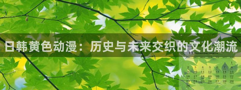 洗濯屋在线观看樱花动漫：日韩黄色动漫：历史与未来交织的文化潮流
