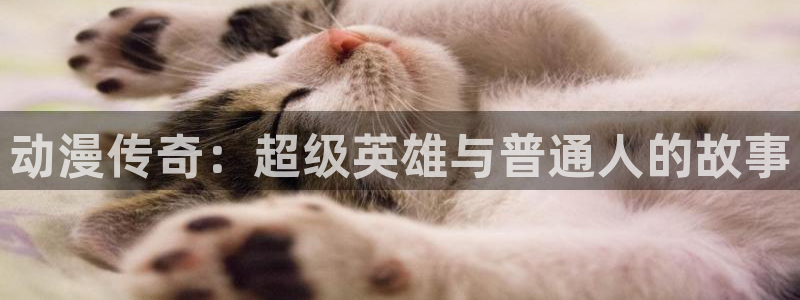 秘密花园樱花动漫：动漫传奇：超级英雄与普通人的故事