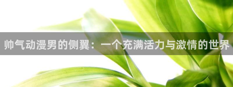 你所不知道的童话故事第三集樱花动漫：帅气动漫男的侧翼：一个充满活力与激情的世界