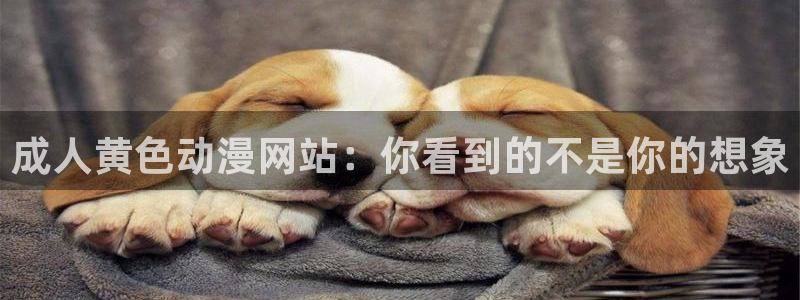 我们的存在樱花动漫：成人黄色动漫网站：你看到的不是你的想象
