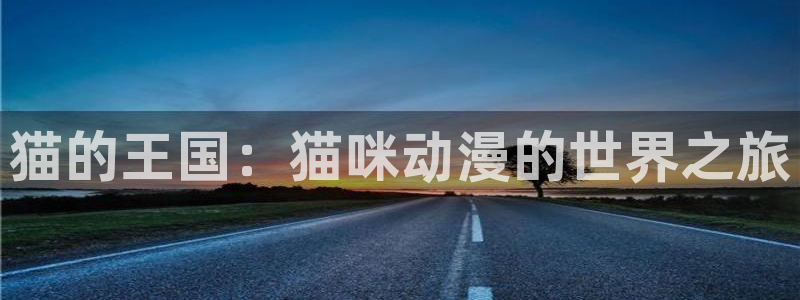 樱花动漫网站推荐：猫的王国：猫咪动漫的世界之旅