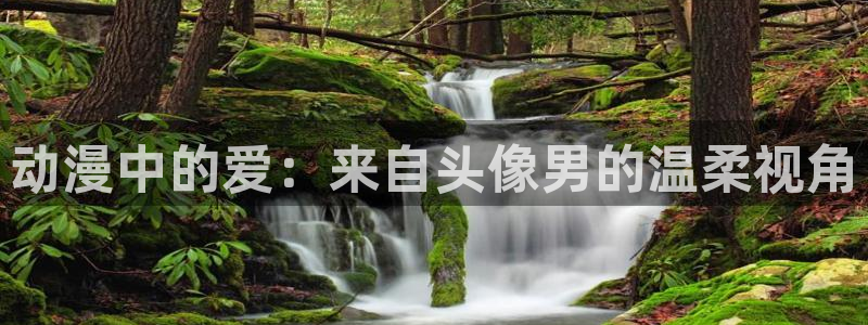 孤独摇滚第一季樱花动漫：动漫中的爱：来自头像男的温柔视角
